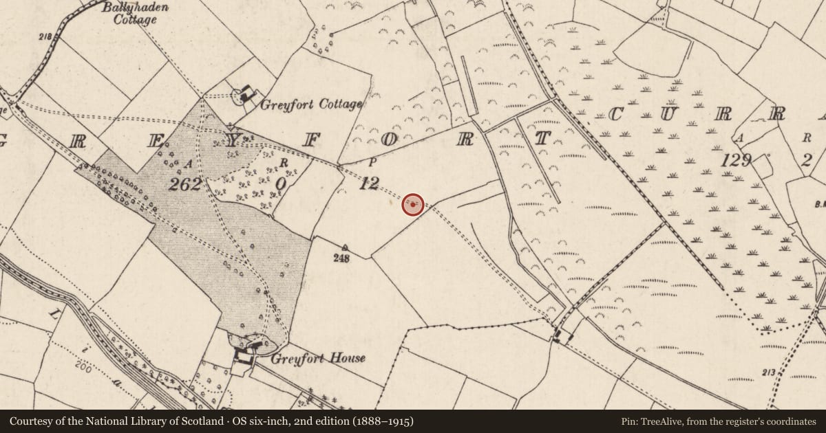 Ordnance Survey six-inch map, 2nd edition (1888–1915) covering the location of Moated site, Greyfort, County Tipperary North, with a pin at the register's coordinates