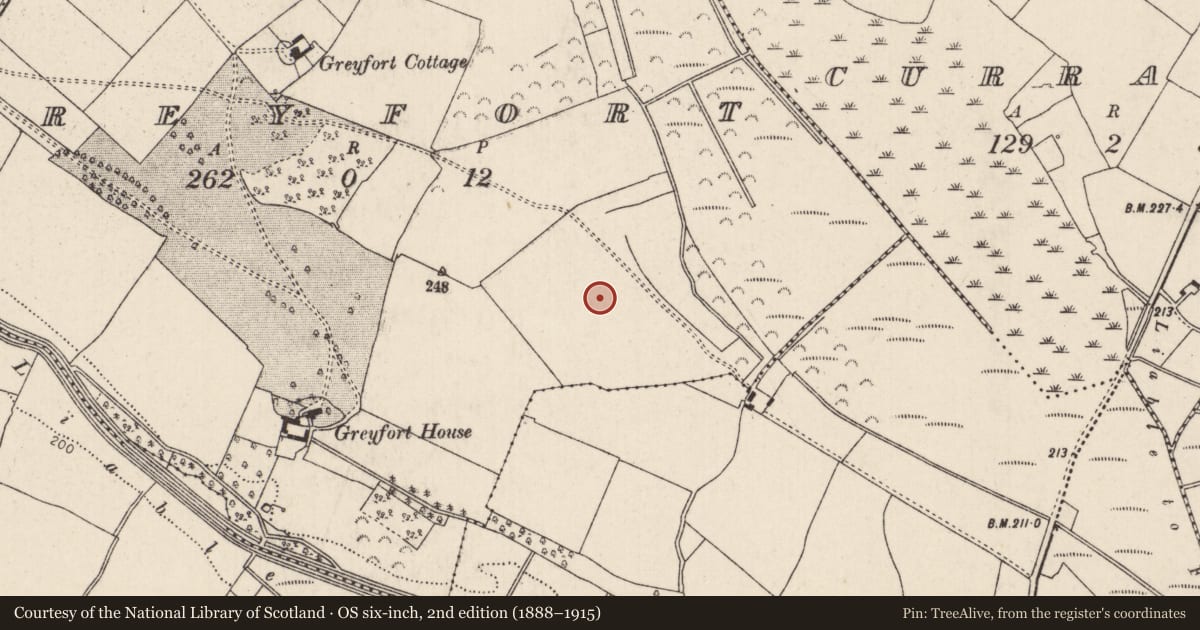 Ordnance Survey six-inch map, 2nd edition (1888–1915) covering the location of Earthwork, Greyfort, County Tipperary North, with a pin at the register's coordinates
