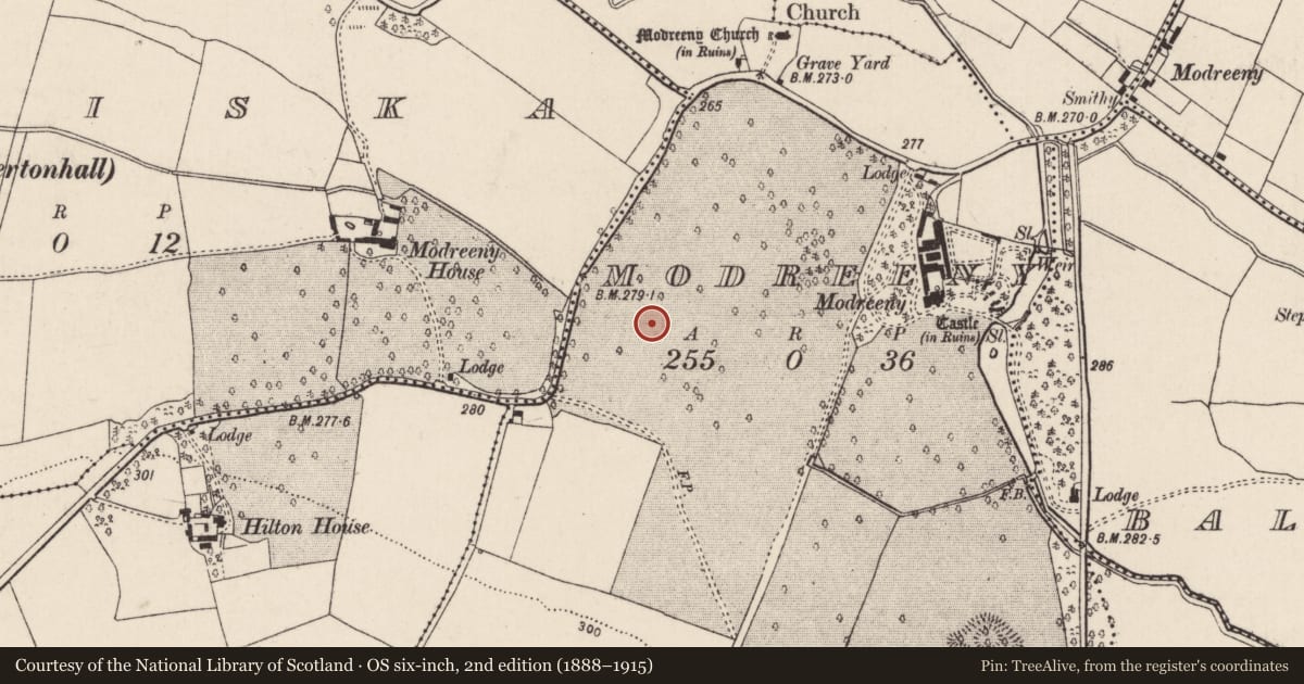 Ordnance Survey six-inch map, 2nd edition (1888–1915) covering the location of Ring-ditch, Modreeny, County Tipperary North, with a pin at the register's coordinates