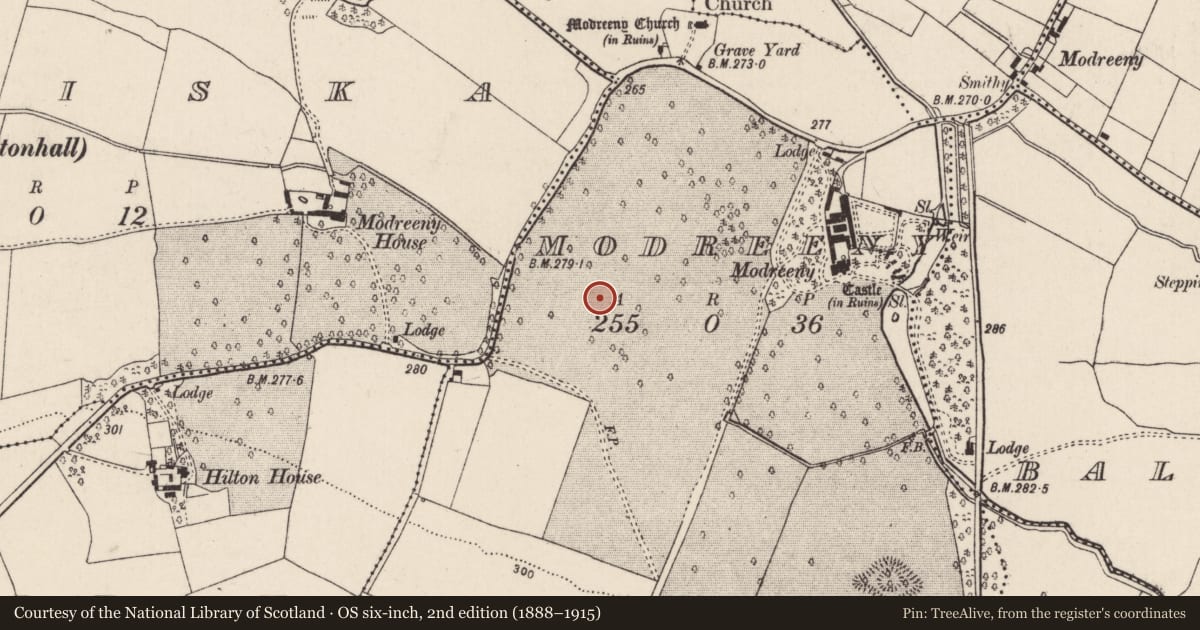 Ordnance Survey six-inch map, 2nd edition (1888–1915) covering the location of Ring-ditch, Modreeny, County Tipperary North, with a pin at the register's coordinates
