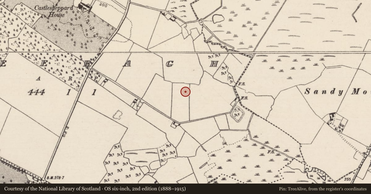 Ordnance Survey six-inch map, 2nd edition (1888–1915) covering the location of Enclosure, Creeragh (Ballingarry Par., North Riding), County Tipperary North, with a pin at the register's coordinates