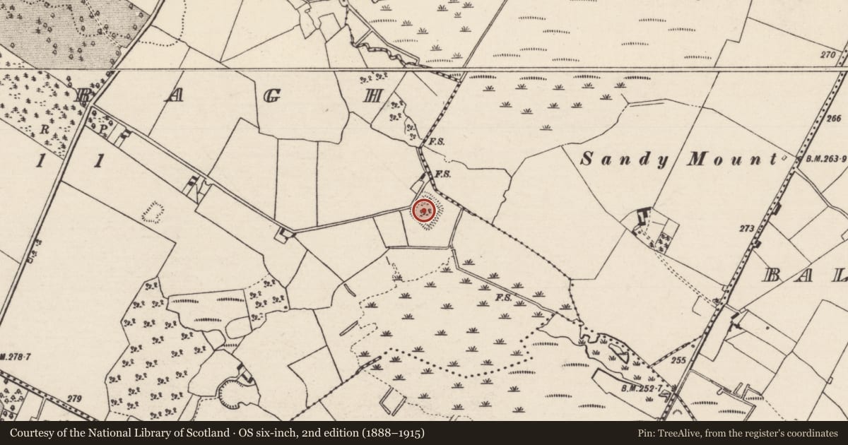 Ordnance Survey six-inch map, 2nd edition (1888–1915) covering the location of Moated site, Creeragh (Ballingarry Par., North Riding), County Tipperary North, with a pin at the register's coordinates