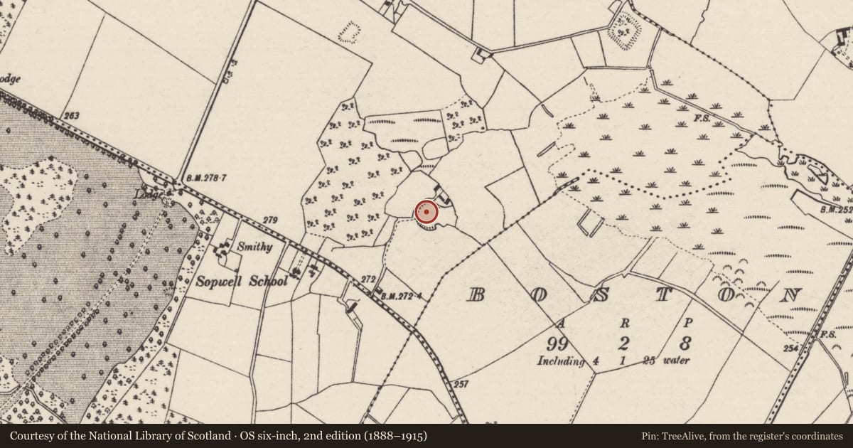 Ordnance Survey six-inch map, 2nd edition (1888–1915) covering the location of Ringfort - rath, Creeragh (Ballingarry Par., North Riding), County Tipperary North, with a pin at the register's coordinates