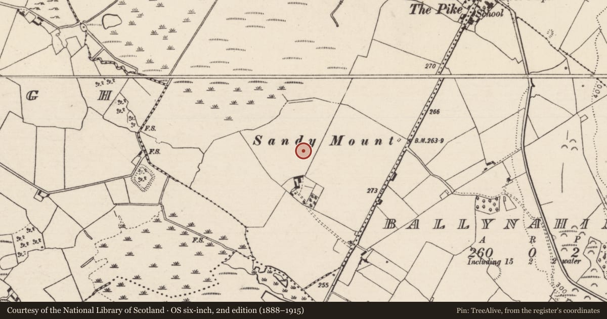 Ordnance Survey six-inch map, 2nd edition (1888–1915) covering the location of Enclosure, Ballingarry, County Tipperary North, with a pin at the register's coordinates