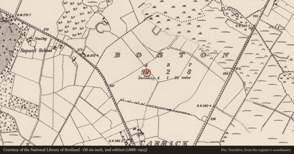 Ordnance Survey six-inch map, 2nd edition (1888–1915) covering the location of Kiln - lime, Boston, County Tipperary North, with a pin at the register's coordinates