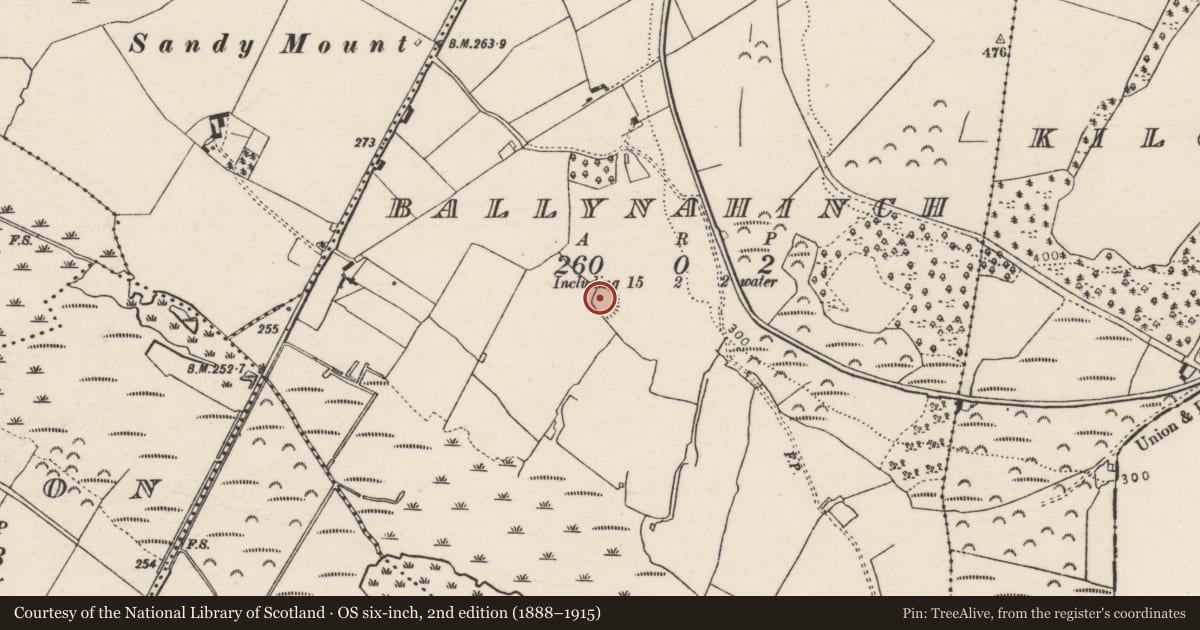 Ordnance Survey six-inch map, 2nd edition (1888–1915) covering the location of Enclosure, Ballynahinch (Ballingarry Par., North Riding), County Tipperary North, with a pin at the register's coordinates