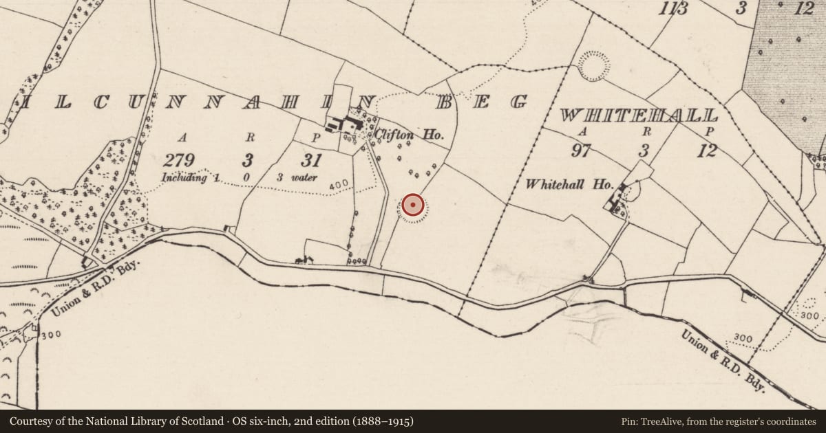 Ordnance Survey six-inch map, 2nd edition (1888–1915) covering the location of Ringfort - rath, Kilcunnahin Beg, County Tipperary North, with a pin at the register's coordinates