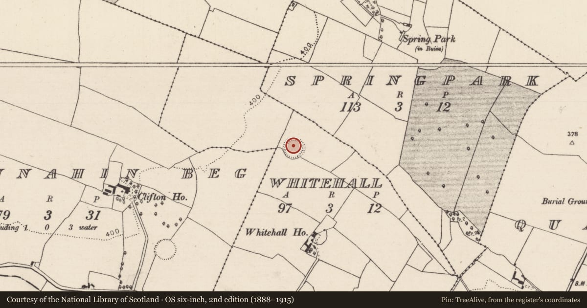 Ordnance Survey six-inch map, 2nd edition (1888–1915) covering the location of Ringfort - rath, Whitehall, County Tipperary North, with a pin at the register's coordinates