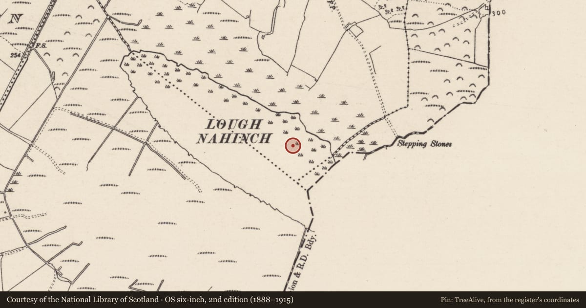 Ordnance Survey six-inch map, 2nd edition (1888–1915) covering the location of Crannog, Ballynahinch (Ballingarry Par., North Riding), County Tipperary North, with a pin at the register's coordinates