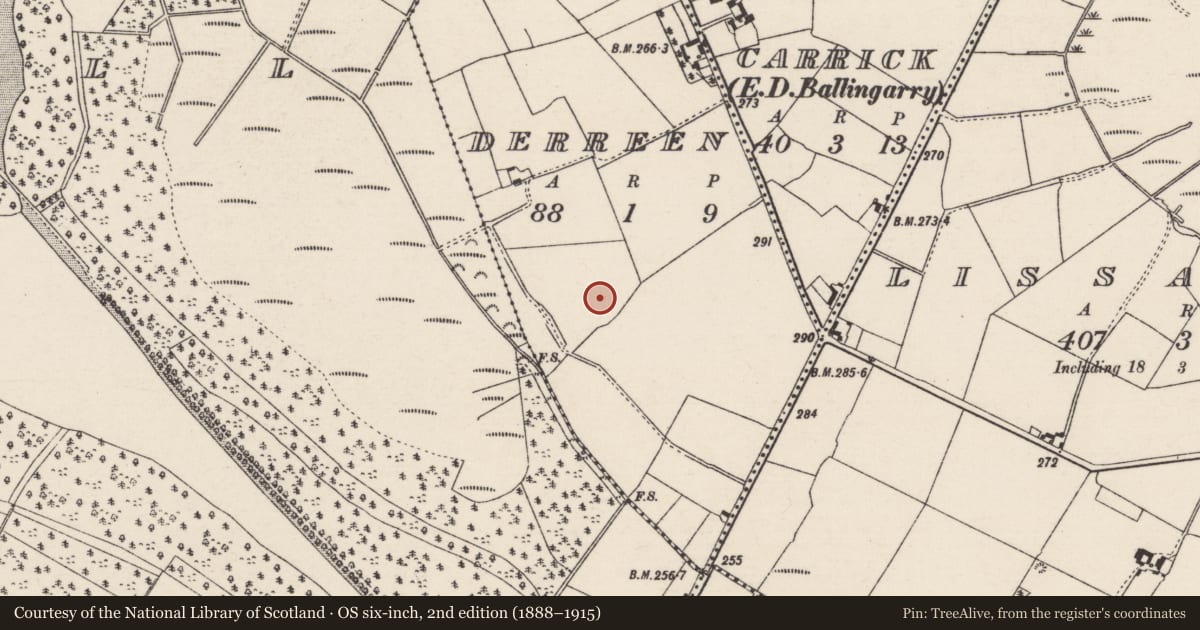 Ordnance Survey six-inch map, 2nd edition (1888–1915) covering the location of Enclosure, Derreen, County Tipperary North, with a pin at the register's coordinates