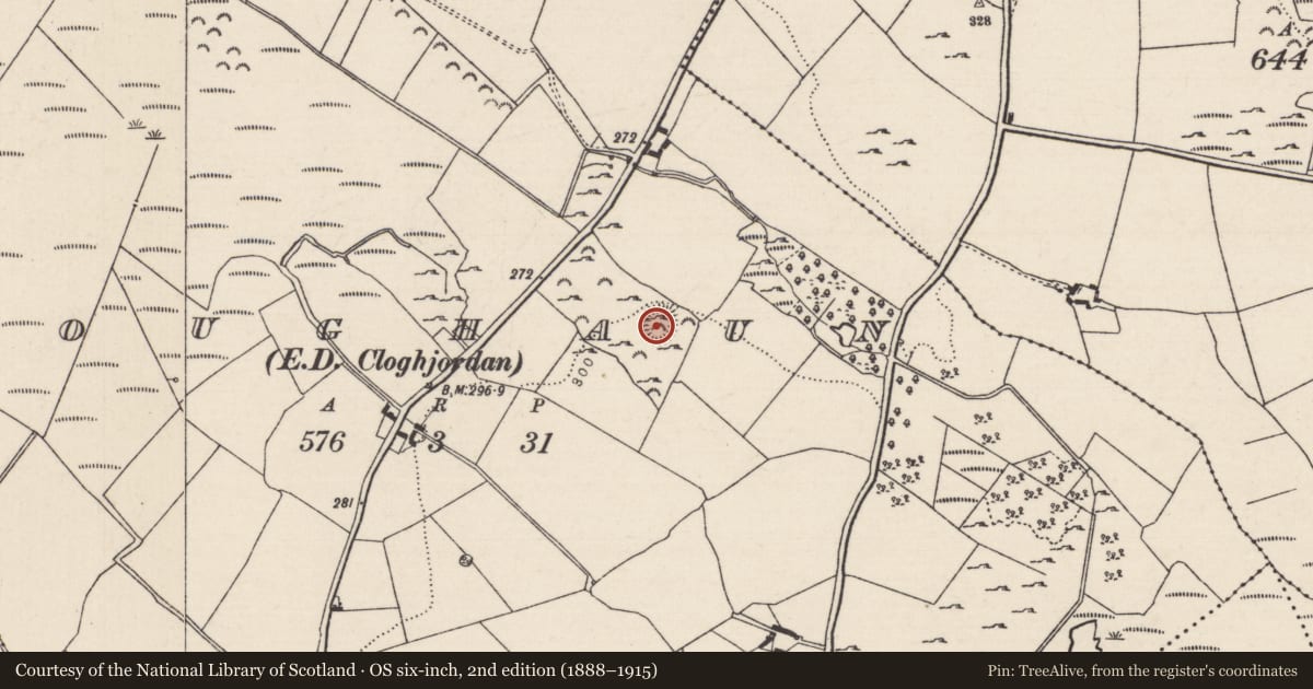 Ordnance Survey six-inch map, 2nd edition (1888–1915) covering the location of Ringfort - rath, Loughaun (Modreeny Par.), County Tipperary North, with a pin at the register's coordinates