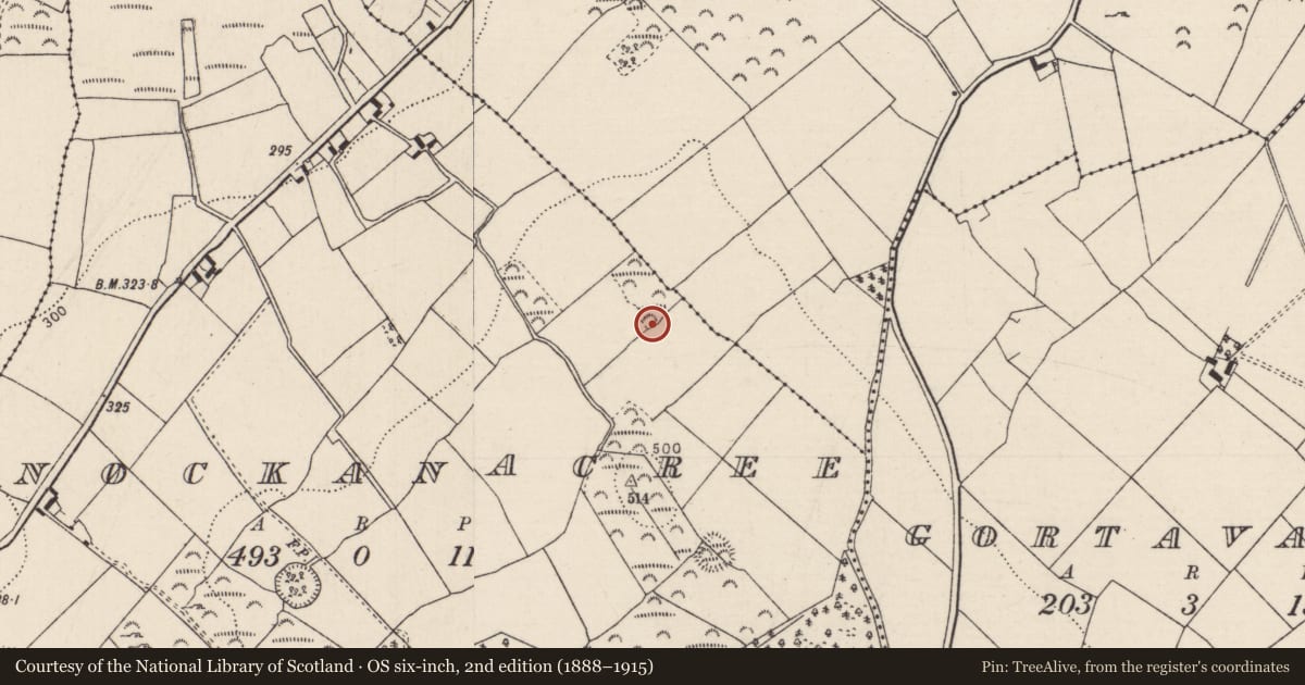 Ordnance Survey six-inch map, 2nd edition (1888–1915) covering the location of Earthwork, Knockanacree, County Tipperary North, with a pin at the register's coordinates
