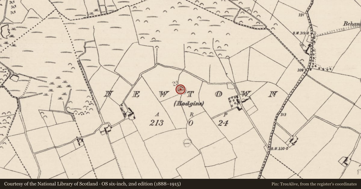 Ordnance Survey six-inch map, 2nd edition (1888–1915) covering the location of Ringfort - rath, Newtown (Hodgins), County Tipperary North, with a pin at the register's coordinates