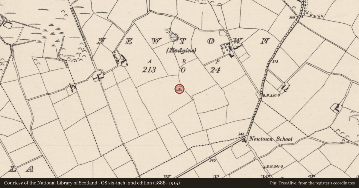 Ordnance Survey six-inch map, 2nd edition (1888–1915) covering the location of Barrow - stepped barrow, Newtown (Hodgins), County Tipperary North, with a pin at the register's coordinates