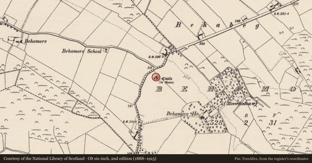 Ordnance Survey six-inch map, 2nd edition (1888–1915) covering the location of Castle - tower house, Behamore (Hawkshaw), County Tipperary North, with a pin at the register's coordinates