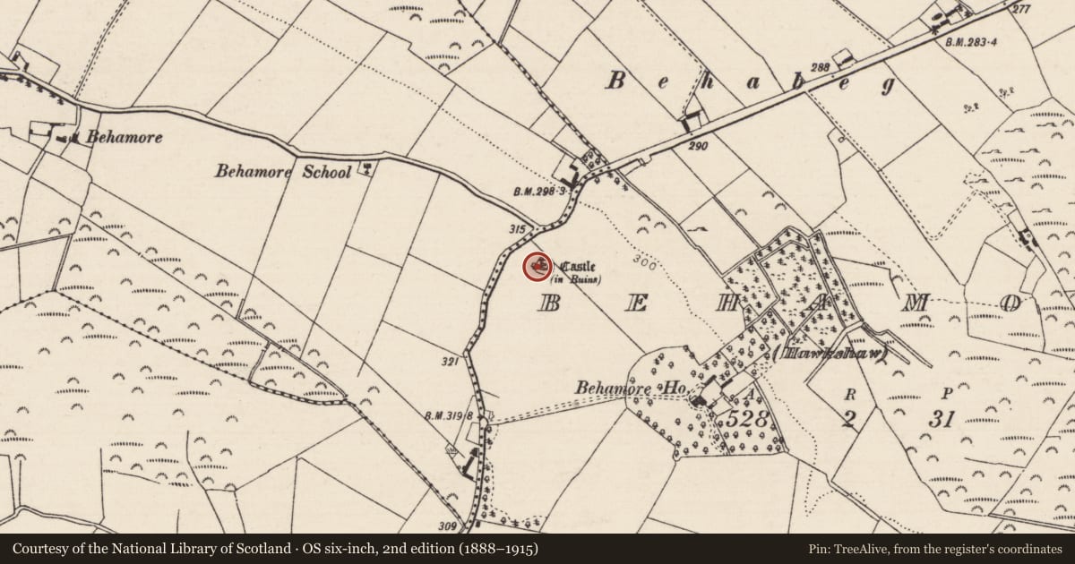 Ordnance Survey six-inch map, 2nd edition (1888–1915) covering the location of Designed landscape - tree-ring, Behamore (Hawkshaw), County Tipperary North, with a pin at the register's coordinates