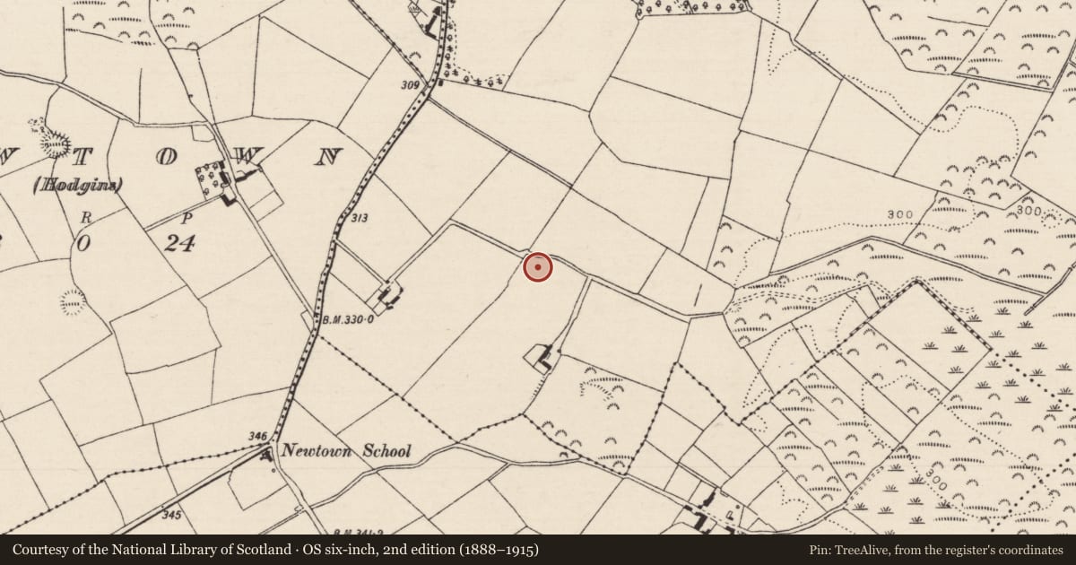Ordnance Survey six-inch map, 2nd edition (1888–1915) covering the location of Enclosure, Behamore (Hawkshaw), County Tipperary North, with a pin at the register's coordinates