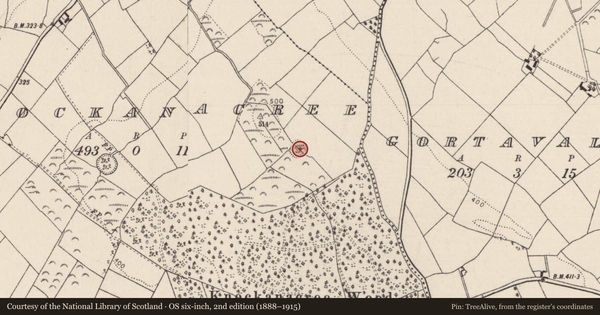 Ordnance Survey six-inch map, 2nd edition (1888–1915) covering the location of Enclosure, Knockanacree, County Tipperary North, with a pin at the register's coordinates
