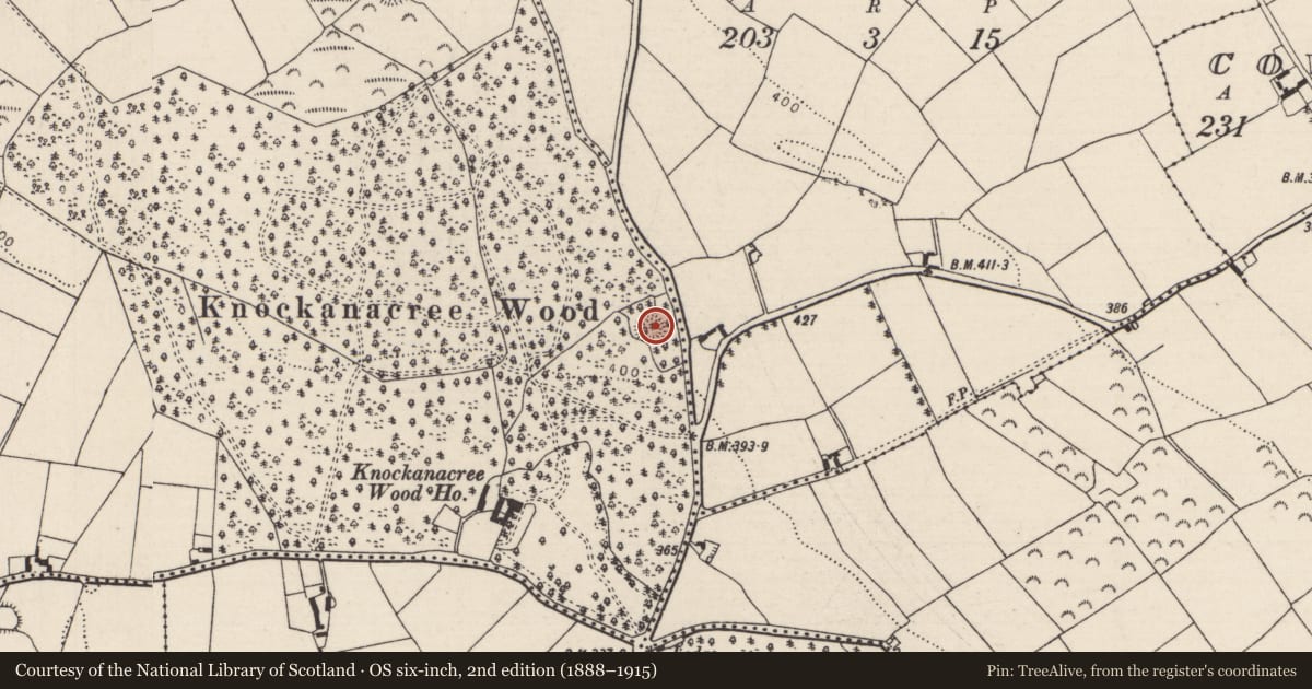 Ordnance Survey six-inch map, 2nd edition (1888–1915) covering the location of Ringfort - rath, Knockanacree, County Tipperary North, with a pin at the register's coordinates