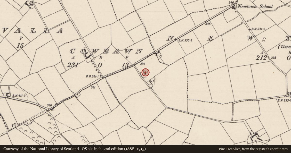 Ordnance Survey six-inch map, 2nd edition (1888–1915) covering the location of Castle - ringwork, Garraun (Modreeny Par.), County Tipperary North, with a pin at the register's coordinates