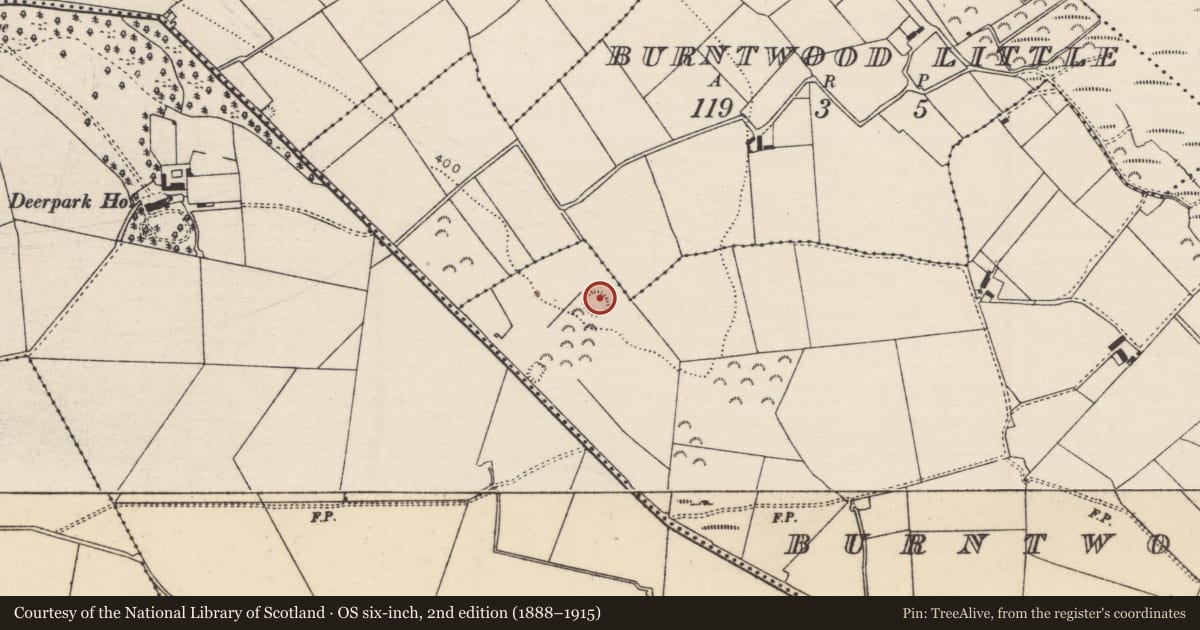 Ordnance Survey six-inch map, 2nd edition (1888–1915) covering the location of Ringfort - rath, Burntwood Big, County Tipperary North, with a pin at the register's coordinates