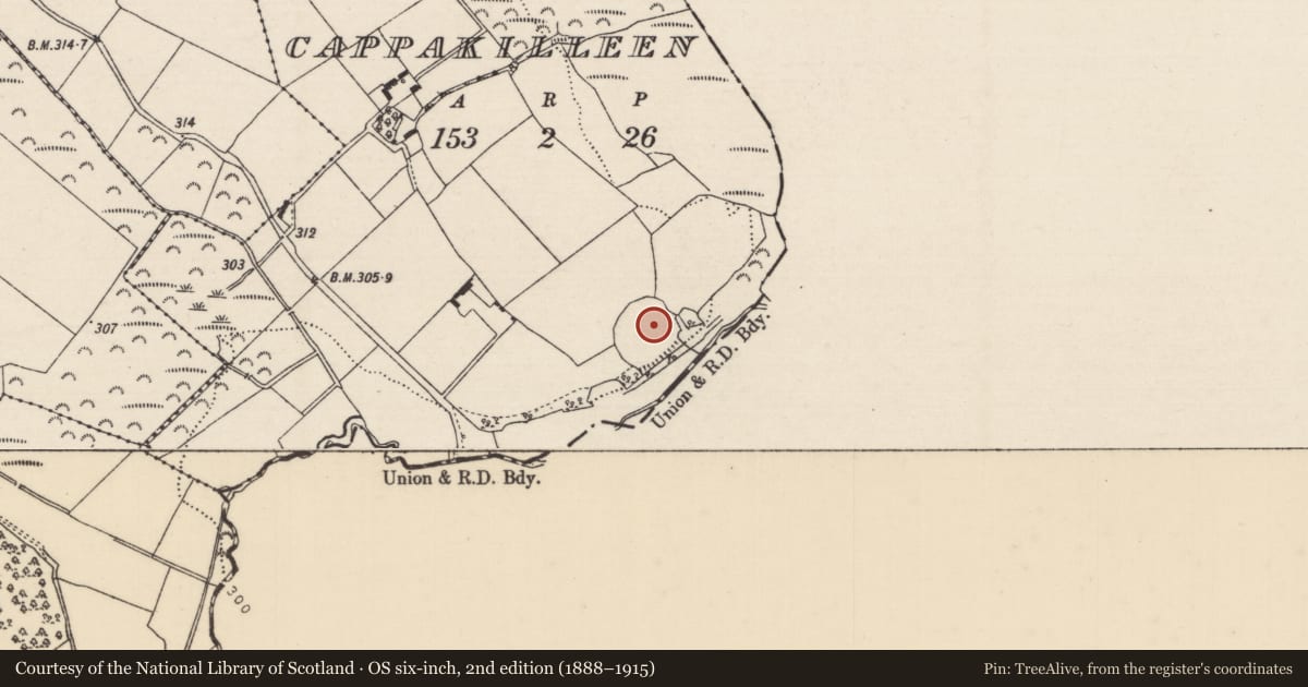 Ordnance Survey six-inch map, 2nd edition (1888–1915) covering the location of Bullaun stone, Cappakilleen, County Tipperary North, with a pin at the register's coordinates