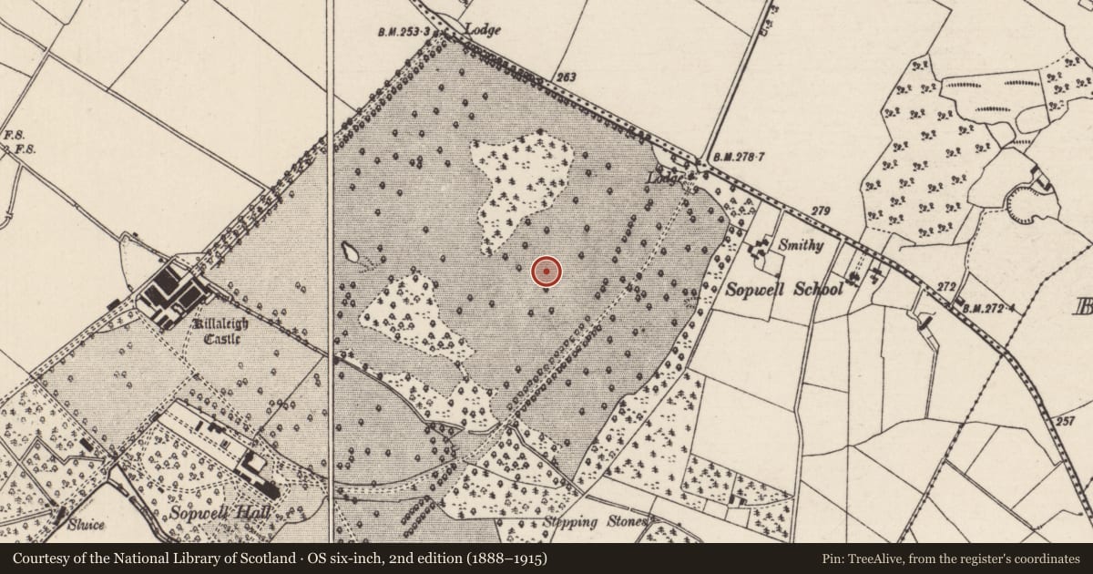 Ordnance Survey six-inch map, 2nd edition (1888–1915) covering the location of Enclosure, Sopwell, County Tipperary North, with a pin at the register's coordinates