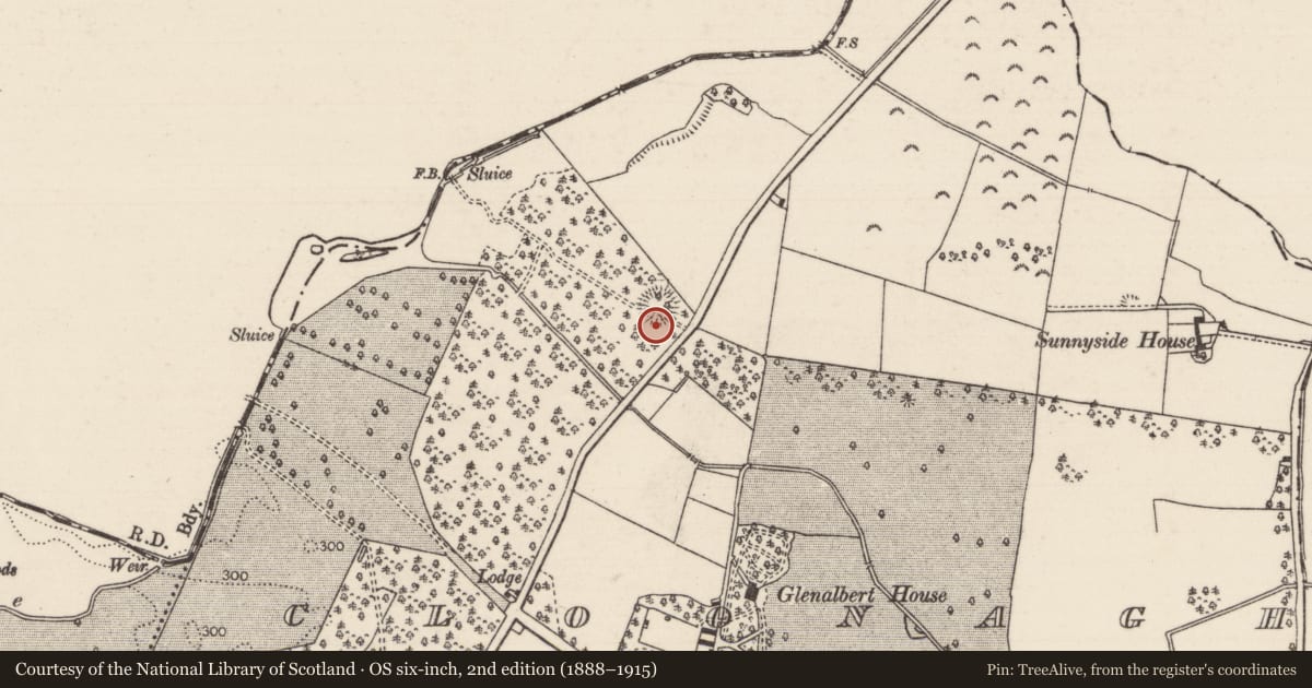 Ordnance Survey six-inch map, 2nd edition (1888–1915) covering the location of Ringfort - rath, Cloonagh, County Tipperary North, with a pin at the register's coordinates