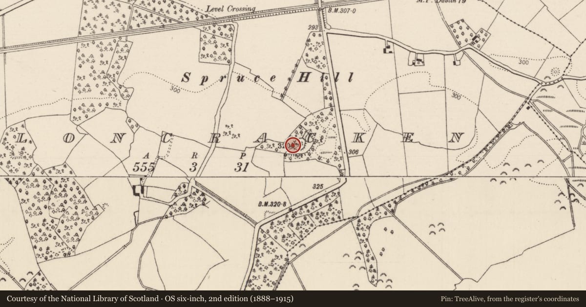 Ordnance Survey six-inch map, 2nd edition (1888–1915) covering the location of Ringfort - rath, Cloncracken, County Tipperary North, with a pin at the register's coordinates