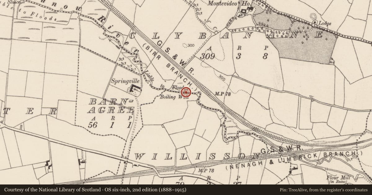 Ordnance Survey six-inch map, 2nd edition (1888–1915) covering the location of Well, Clybanane, County Tipperary North, with a pin at the register's coordinates