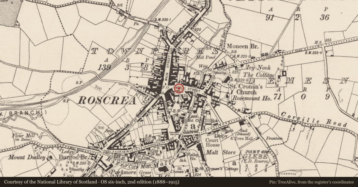 Ordnance Survey six-inch map, 2nd edition (1888–1915) covering the location of Historic town, County Tipperary North, with a pin at the register's coordinates