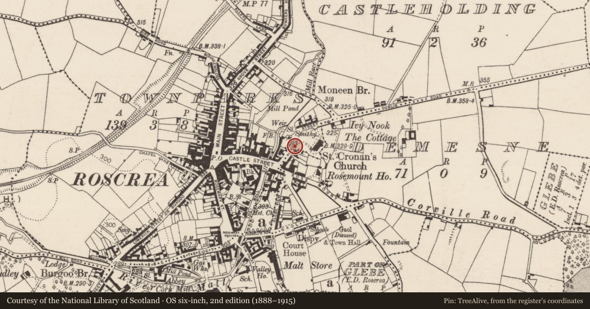 Ordnance Survey six-inch map, 2nd edition (1888–1915) covering the location of Church, Townparks (Roscrea Par.), County Tipperary North, with a pin at the register's coordinates
