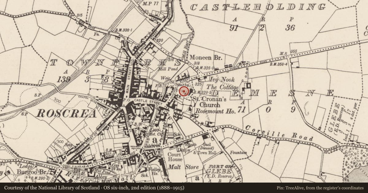 Ordnance Survey six-inch map, 2nd edition (1888–1915) covering the location of Graveyard, Townparks (Roscrea Par.), County Tipperary North, with a pin at the register's coordinates