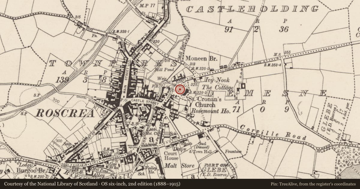 Ordnance Survey six-inch map, 2nd edition (1888–1915) covering the location of Architectural fragment, Townparks (Roscrea Par.), County Tipperary North, with a pin at the register's coordinates