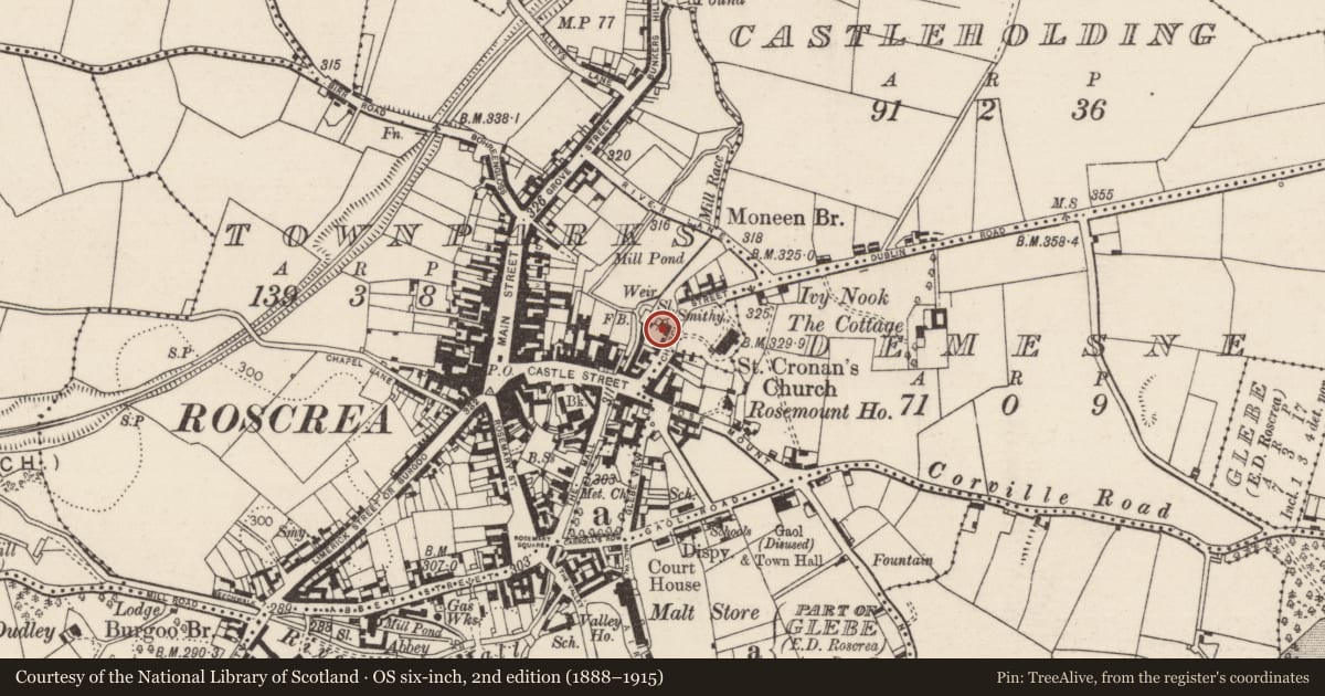 Ordnance Survey six-inch map, 2nd edition (1888–1915) covering the location of Round tower, Townparks (Roscrea Par.), County Tipperary North, with a pin at the register's coordinates