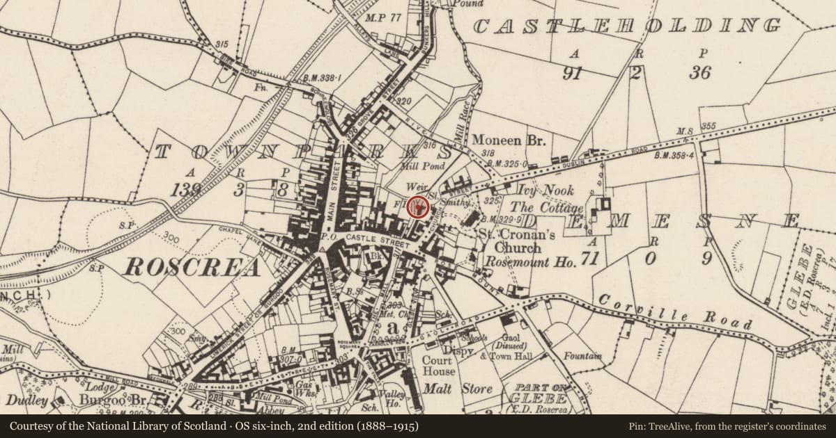 Ordnance Survey six-inch map, 2nd edition (1888–1915) covering the location of Cross - High cross (present location), Townparks (Roscrea Par.), County Tipperary North, with a pin at the register's coordinates
