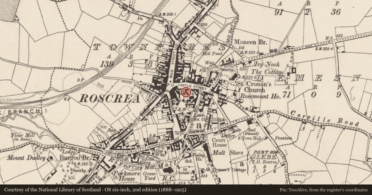 Ordnance Survey six-inch map, 2nd edition (1888–1915) covering the location of Castle - Anglo-Norman masonry castle, Townparks (Roscrea Par.), County Tipperary North, with a pin at the register's coordinates
