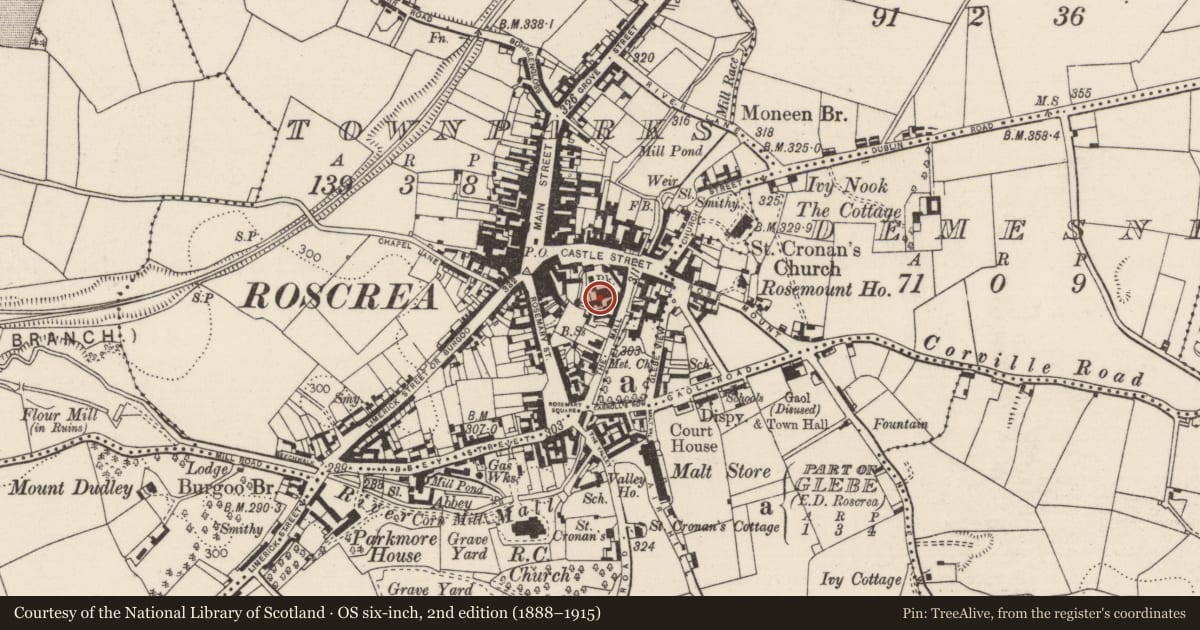 Ordnance Survey six-inch map, 2nd edition (1888–1915) covering the location of House - 18th/19th century, Townparks (Roscrea Par.), County Tipperary North, with a pin at the register's coordinates