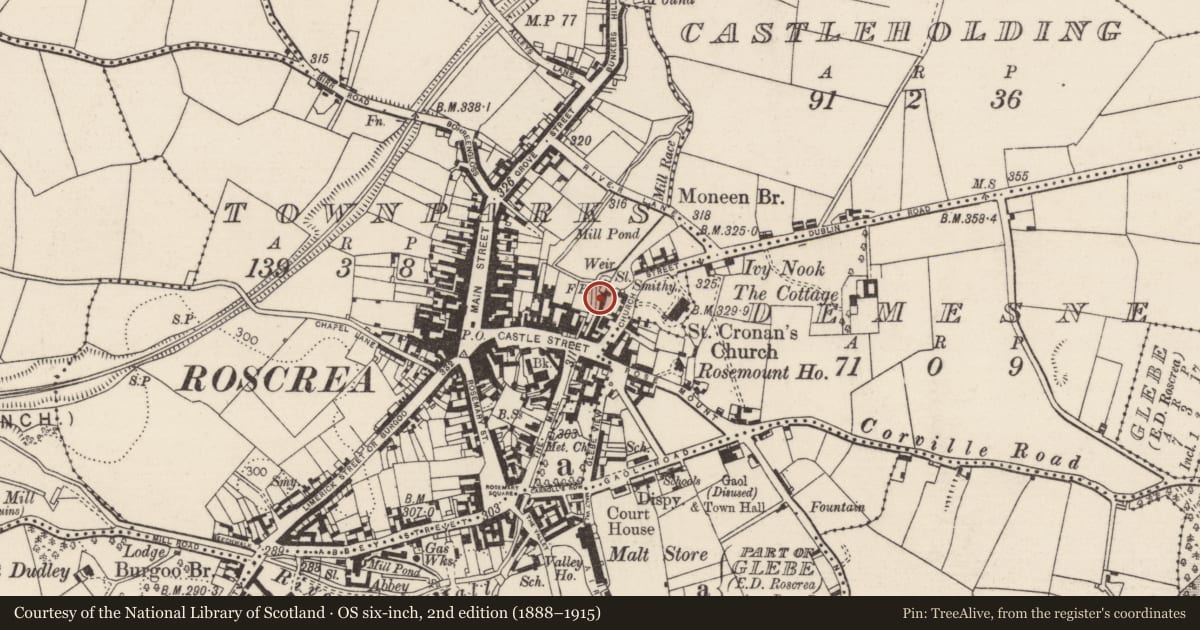 Ordnance Survey six-inch map, 2nd edition (1888–1915) covering the location of Cross - High cross (present location), Townparks (Roscrea Par.), County Tipperary North, with a pin at the register's coordinates