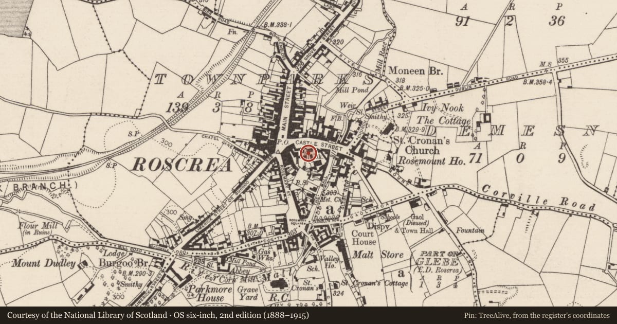 Ordnance Survey six-inch map, 2nd edition (1888–1915) covering the location of Cross-slab, Townparks (Roscrea Par.), County Tipperary North, with a pin at the register's coordinates