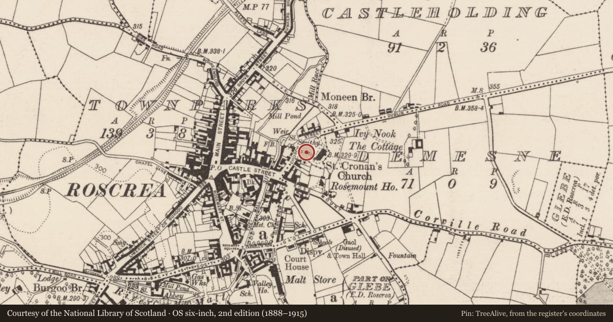 Ordnance Survey six-inch map, 2nd edition (1888–1915) covering the location of Inscribed slab, Townparks (Roscrea Par.), County Tipperary North, with a pin at the register's coordinates
