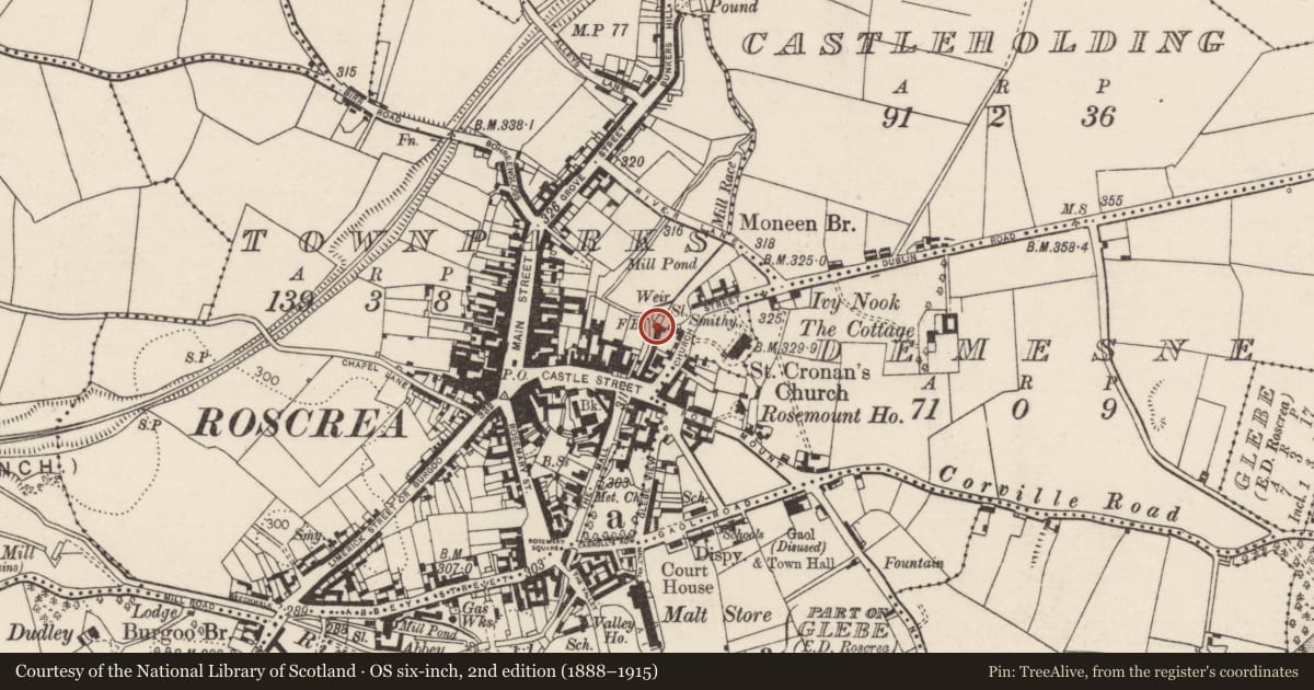 Ordnance Survey six-inch map, 2nd edition (1888–1915) covering the location of Inscribed slab (present location), Townparks (Roscrea Par.), County Tipperary North, with a pin at the register's coordinates