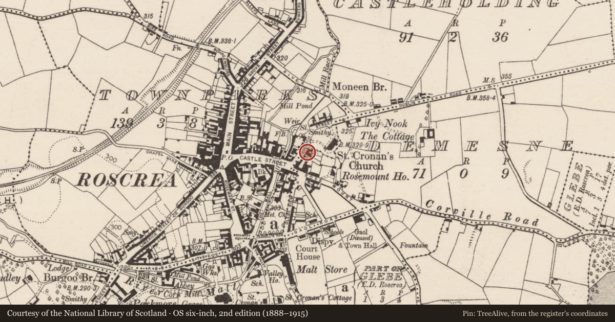 Ordnance Survey six-inch map, 2nd edition (1888–1915) covering the location of Cross - High cross, Townparks (Roscrea Par.), County Tipperary North, with a pin at the register's coordinates