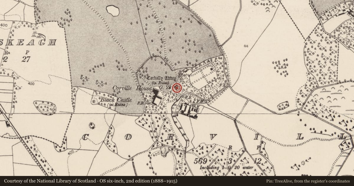 Ordnance Survey six-inch map, 2nd edition (1888–1915) covering the location of Religious house - Augustinian friars, Corville, County Tipperary North, with a pin at the register's coordinates