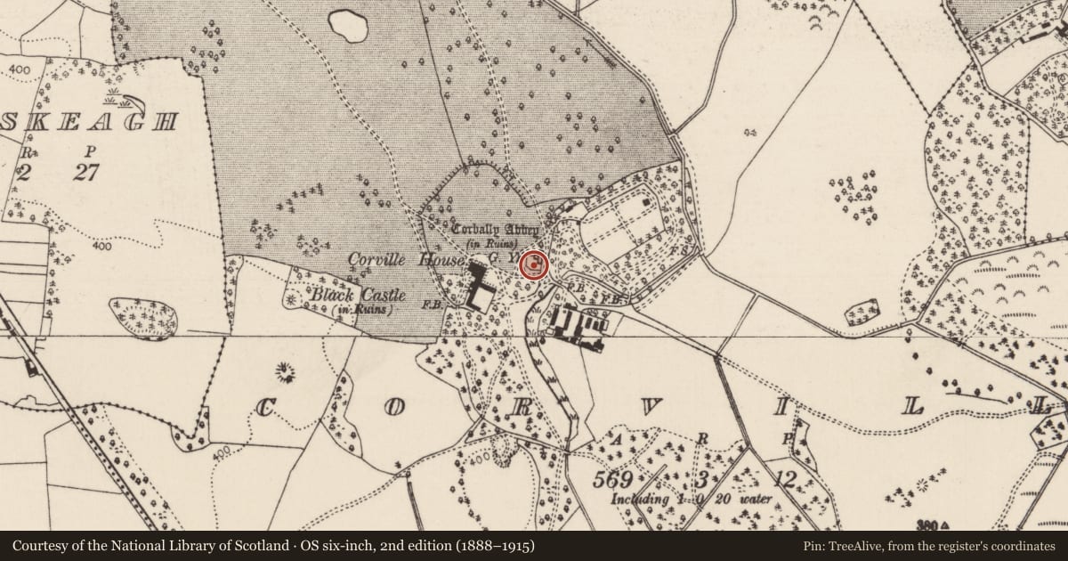 Ordnance Survey six-inch map, 2nd edition (1888–1915) covering the location of Graveyard, Corville, County Tipperary North, with a pin at the register's coordinates