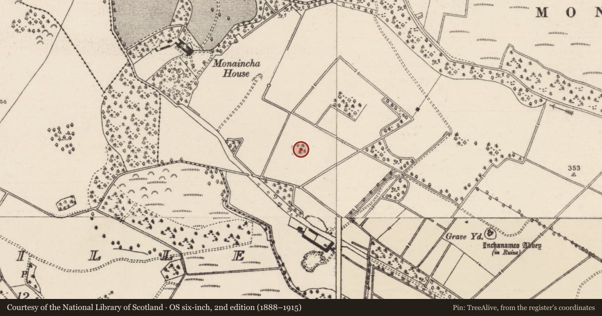 Ordnance Survey six-inch map, 2nd edition (1888–1915) covering the location of Designed landscape - tree-ring, Monaincha, County Tipperary North, with a pin at the register's coordinates