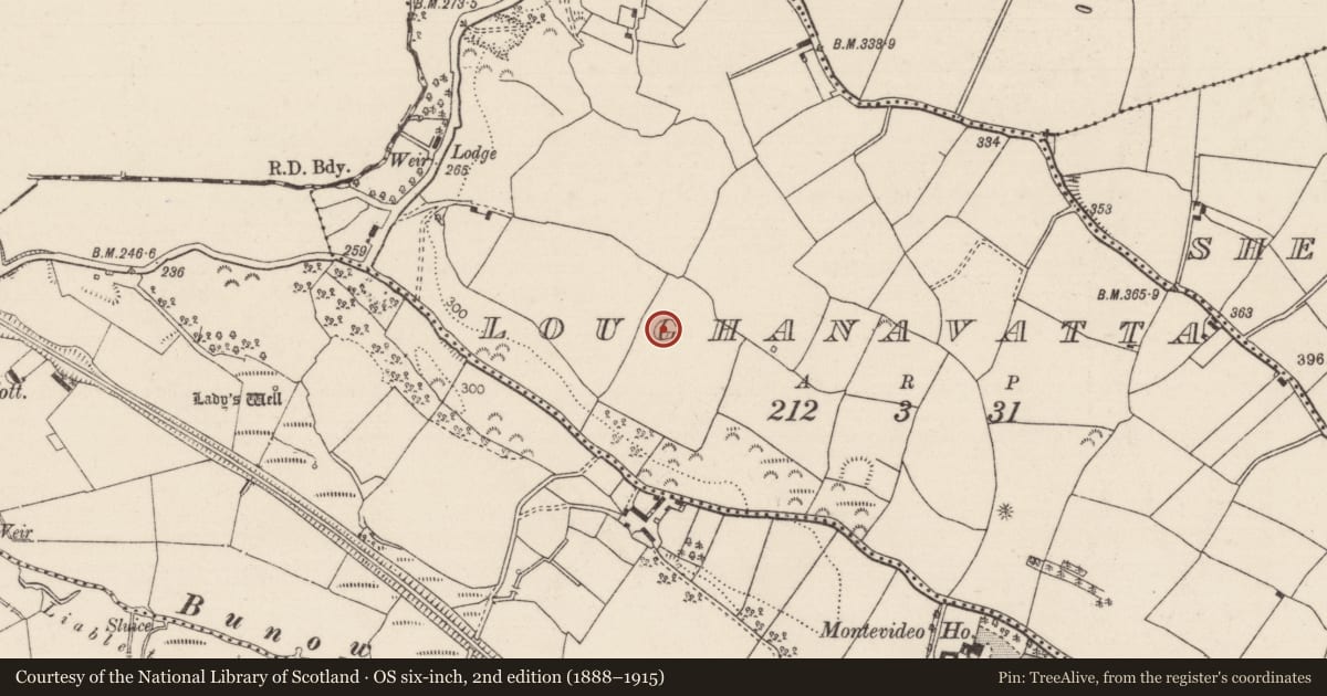 Ordnance Survey six-inch map, 2nd edition (1888–1915) covering the location of Hilltop enclosure, Loughanavatta, County Tipperary North, with a pin at the register's coordinates