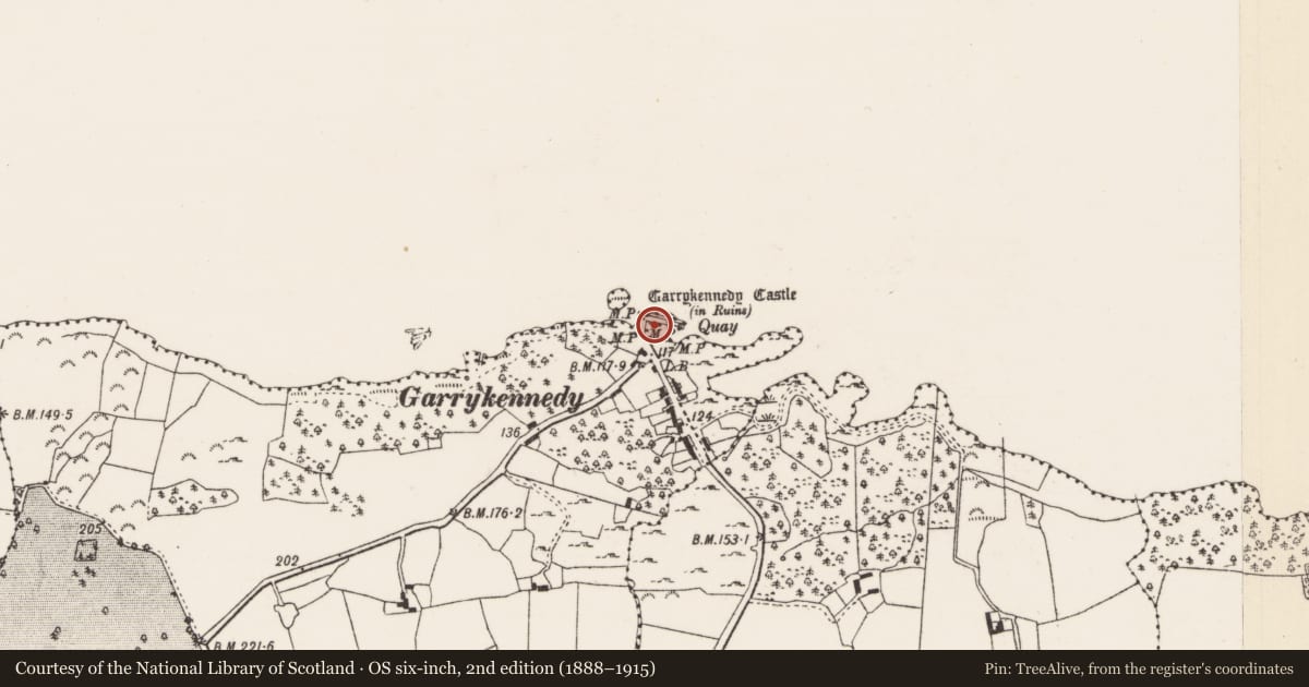 Ordnance Survey six-inch map, 2nd edition (1888–1915) covering the location of Castle - tower house, Garrykennedy, County Tipperary North, with a pin at the register's coordinates
