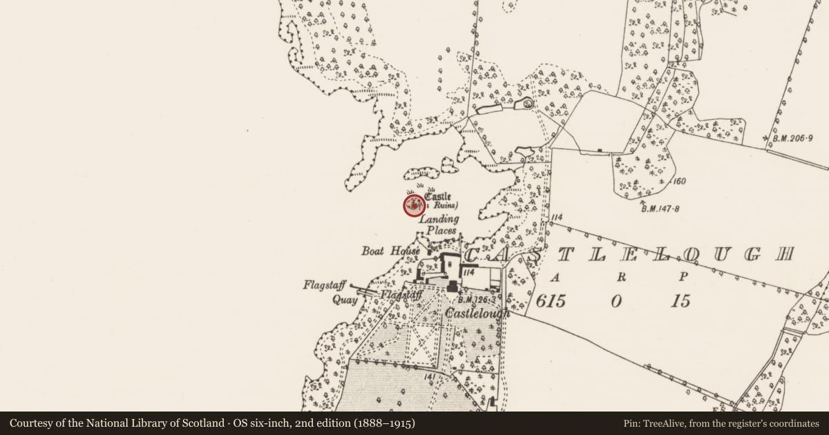 Ordnance Survey six-inch map, 2nd edition (1888–1915) covering the location of Castle - tower house, Castlelough, County Tipperary North, with a pin at the register's coordinates
