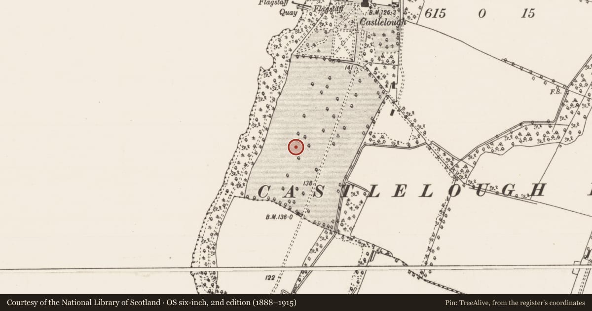 Ordnance Survey six-inch map, 2nd edition (1888–1915) covering the location of Designed landscape - tree-ring, Castlelough, County Tipperary North, with a pin at the register's coordinates
